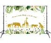 Diseño-01