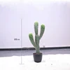 80cm