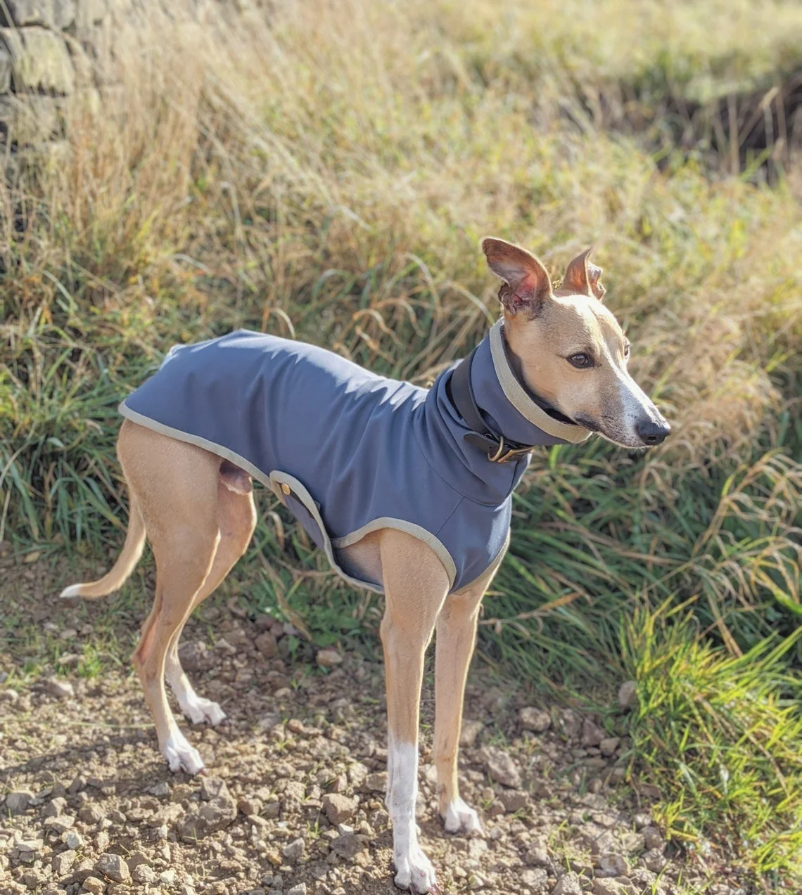Qiqu Pet Supplies Custom New Designer Luxury Winter Warm Fleece Dog Coat Vest Jacket for Italian Greyhound Whippet Gripper Dogs