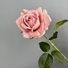 Rosa hidratante de tallo único, color melocotón púrpura.