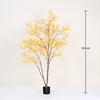 Amarillo 150cm