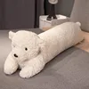 Orso bianco