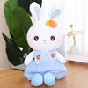 Sweetheart rabbit-blue