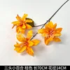 Three-headed Lily - Orange