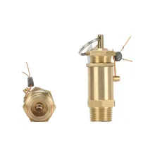 Pressure Reducing valves Brass Safety Relief Valve Air Compressor Safety Valve