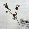 3-headed pomegranate, brown
