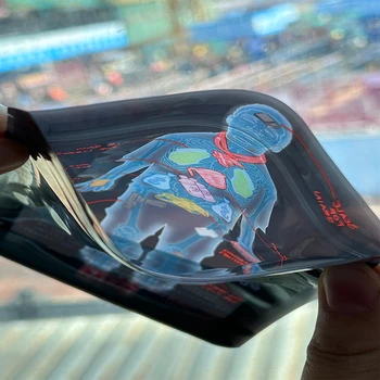Custom Biodegradable Semi-Translucent Plastic Zipper Stand Pouch Various Printed Bag Types Logo for Food Packaging Includes Bag