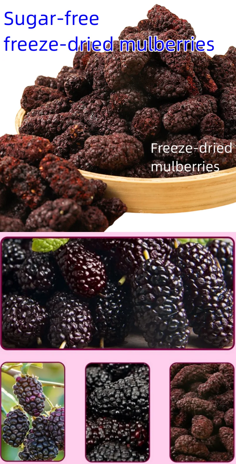 Freeze Dried Mulberry Whole - Bulk Wholesale from China Factory H231a8bd4fb594d19b2a05c3f58a34192H