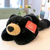 Black Bear