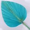C04