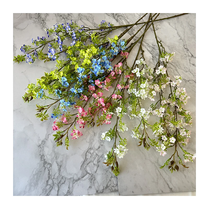 Хаалыкка жана ушул аймакка ээ болгон реалисттик булактар