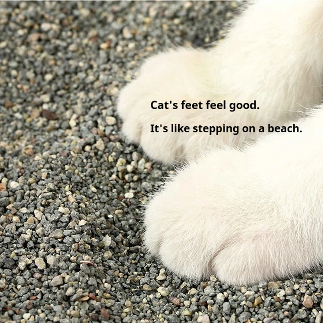 OEM Factory Supply Manufacturer Dust Free Eco-friendly Sodium Bentonite Clump Cat Litter