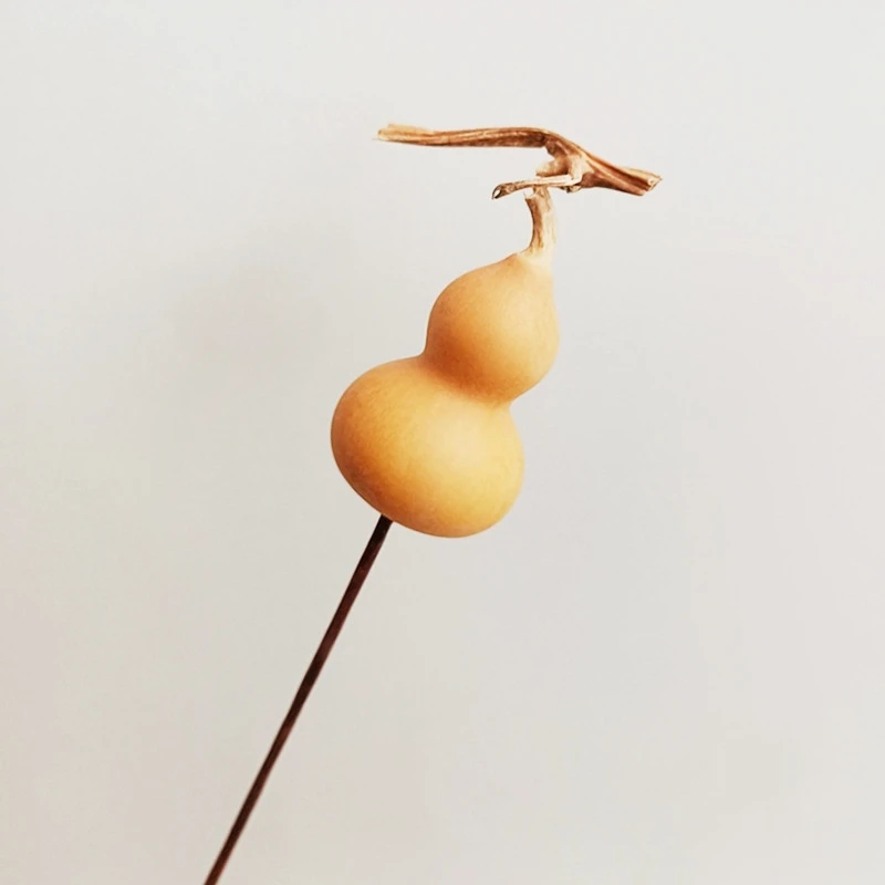 DFS51 Splicing Gourd High Quality INS Popular Natural Dried Flowers Calabash Gourd & Lagenaria Siceraria for Home Decor
