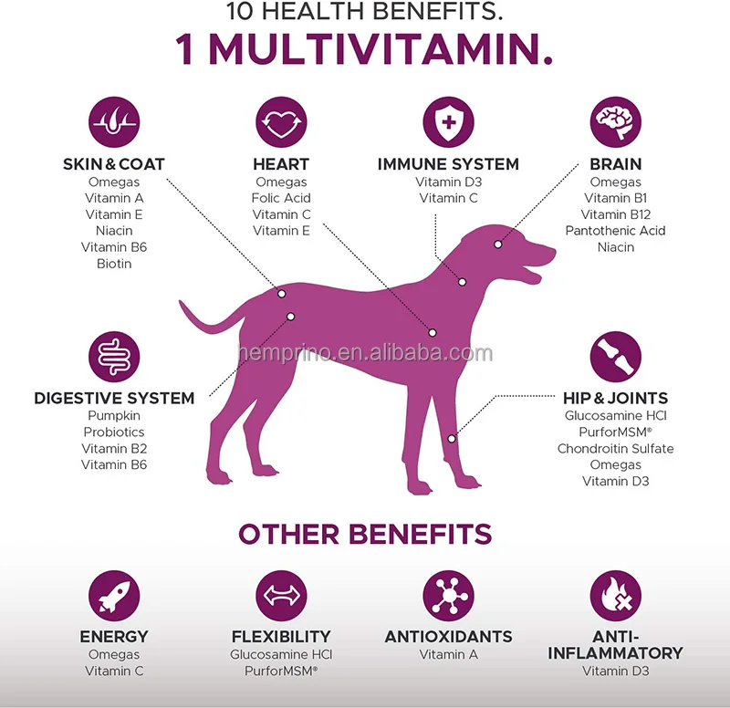 10 In 1 Dog Multivitamin Chews with Glucosamine And Probiotics Omega Fish Oil Hip Joint Pet Supplement