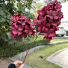 2 têtes de stupa hortensia rouge