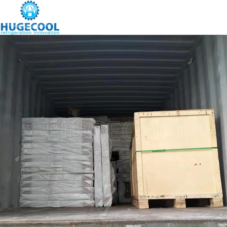 Hugecool Cold Storage Freezing Blast Freezer Walk in Cold Room for Potato Meat, Fish, Chicken, Seafood with Refrigeration Unit