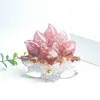 colorful No. 6 Pink Crystal + Red Agate + White