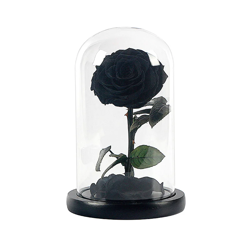 rose in glass dome
