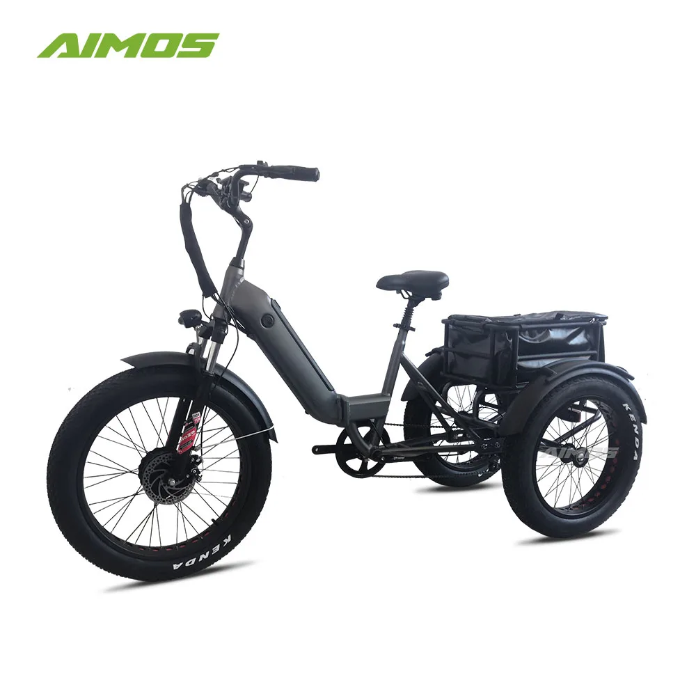 Adult Electric Tricycles 3 Wheel Electric Bike with 24 Inch Wheel Low Step Through Cruise Trike Alibaba