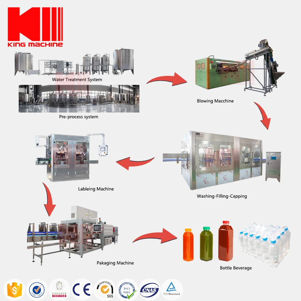 Complete Full Automatic Fresh Fruit Juice Processing Line Drink Production Line Juice Filling Machine