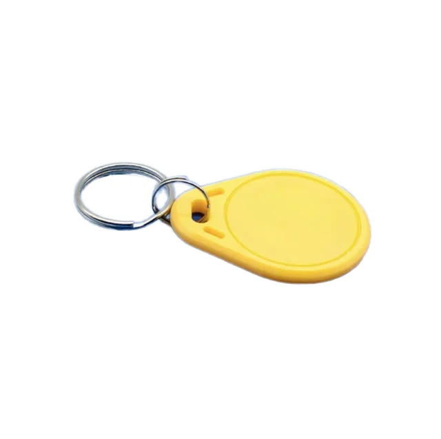 Hot Sale Customizable Access Keychain Editable NFC and RFID Interface 13.56MHz Mini Tag