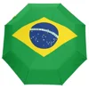 Brizil 12