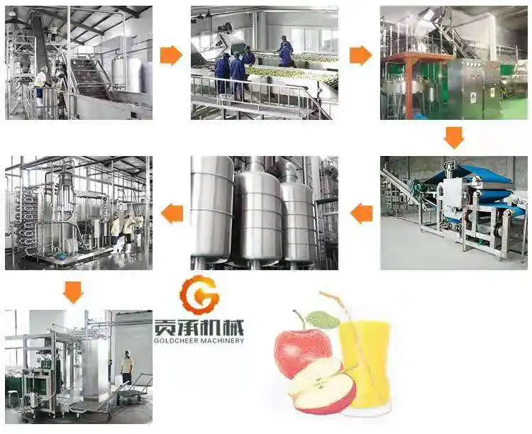 2023 Natural apple Juice Machines Pomegranate Juice Machine Spare Parts Passion Orange Guava mango Juicer Processing Line