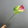 Silicone rouge irlandais, paume rose moyen