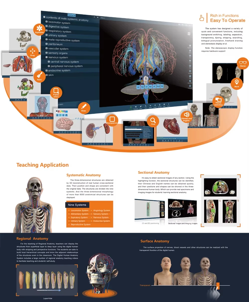 Virtual Corpse Human Virtual Anatomage 3D Body Virtual Autopsy Table for University ...
