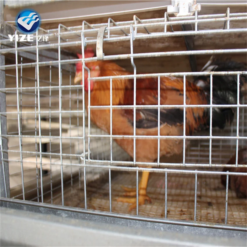 Chicken Cage Roosting Nest Pad Building a Chicken Run Chicken Feed Battery Cage Poultry Farming Cage