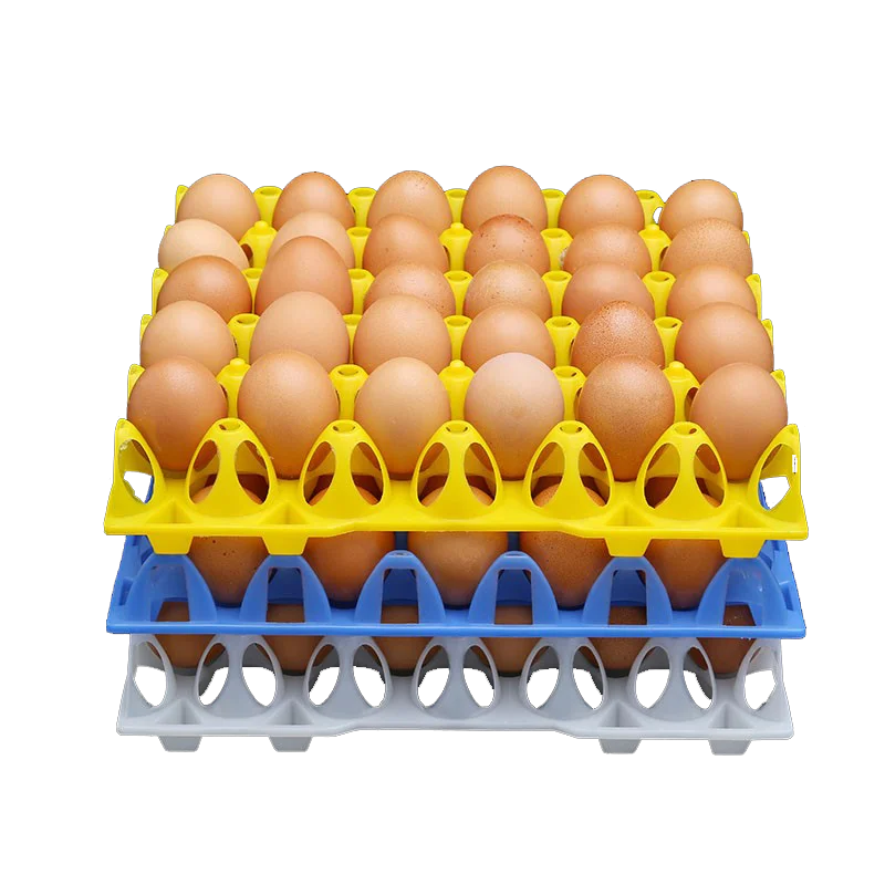 Fast Speed Quality 200 Tons Good Price 30pcs Egg Plastic Tray Making