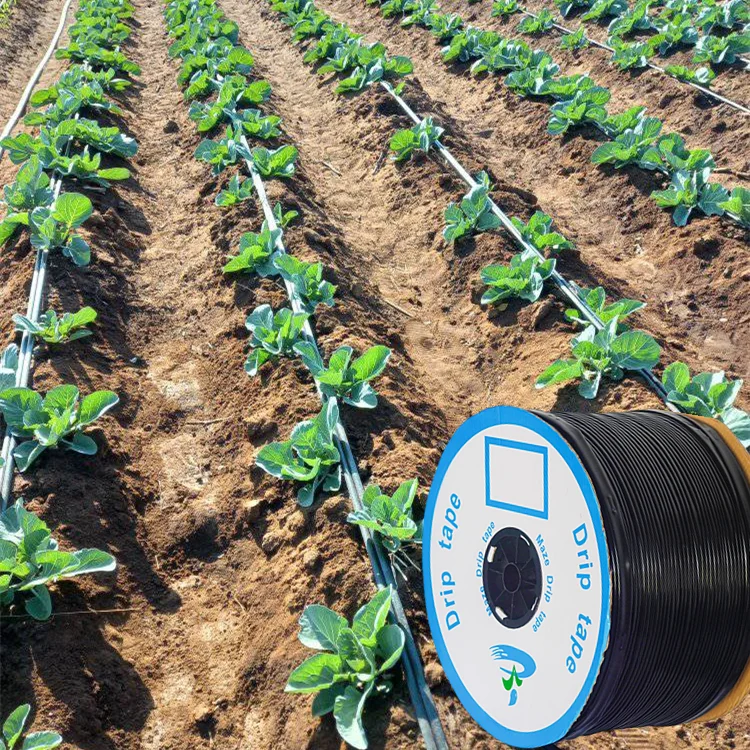 Drip Line Thick Wall Drip Hose Farm Accessories Drip Irrigation Tape 16mm Tuyau D’irrigation Goutte a Goutte