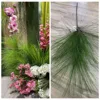 3 huashan pine green