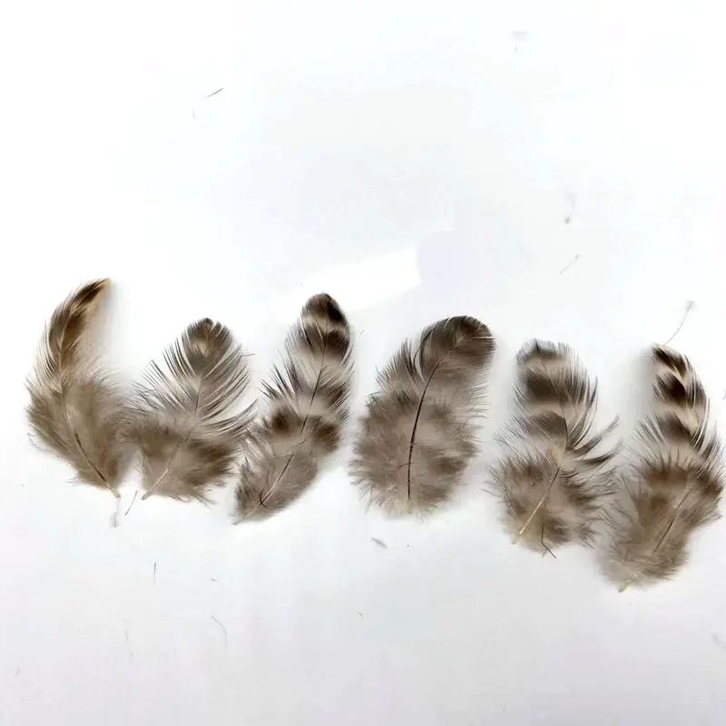 Grohandel 4-8cm Kleine Graue Chinchilla Hahn-Sattelfedern Hhnerfedern  Coque-Sattelfedern