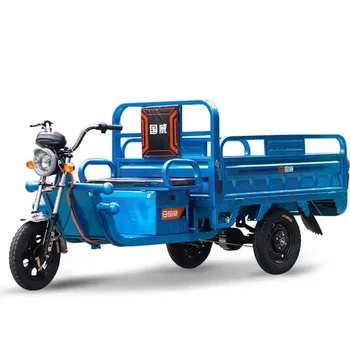 2024 Popular electric tricycle for adults from china Electric trike for Cargo hot selling cheap price new energy automobile