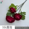 ดอกบัวน้ำค้าง 3 หัว สีแดงกุหลาบ HN