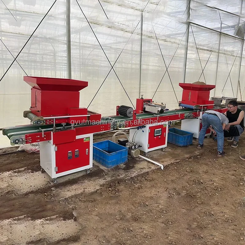 tobacco seeder Automatic Vegetable Tray Seeder Machine Precise Seeding Tobacco Seed Tray  Planter Automatic Tray Seedling Machine for Nursery