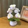 white 5 tulips