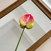 Rosa Verde