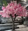 Pink01