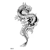 Dragon-10