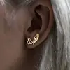 pendientes C