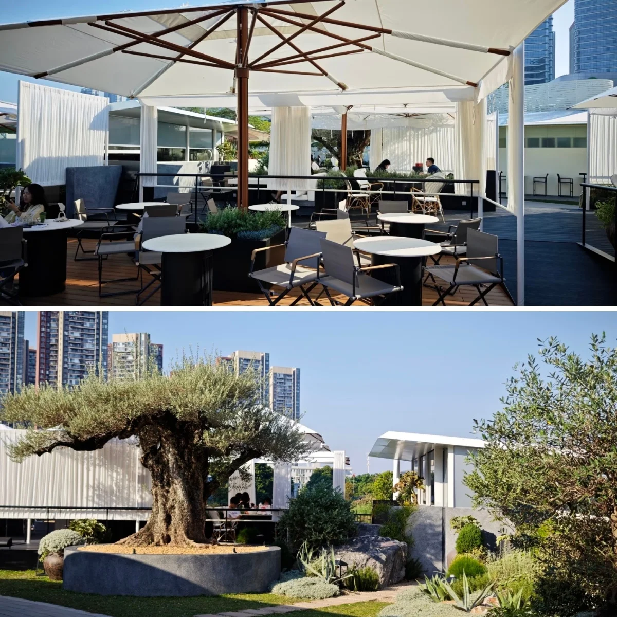 Project Case Details