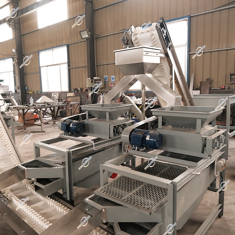 Manufacturer Equipment 300kg 500kg 1000kg Automatic Palm Apricot Kernel Hazelnut Almond Processing Production Line