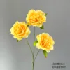 Peony Sunflower