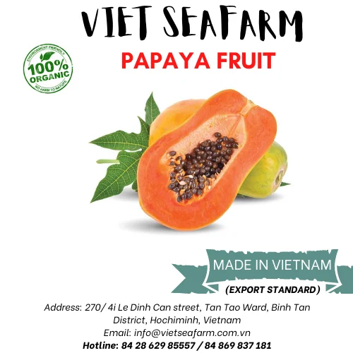 Fresh Papaya Is The Most Popular And High Quality Product Buy Fresh