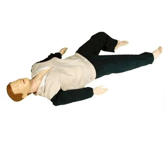 
 Продолжайте Высокоточный симулятор для взрослых пациентов  