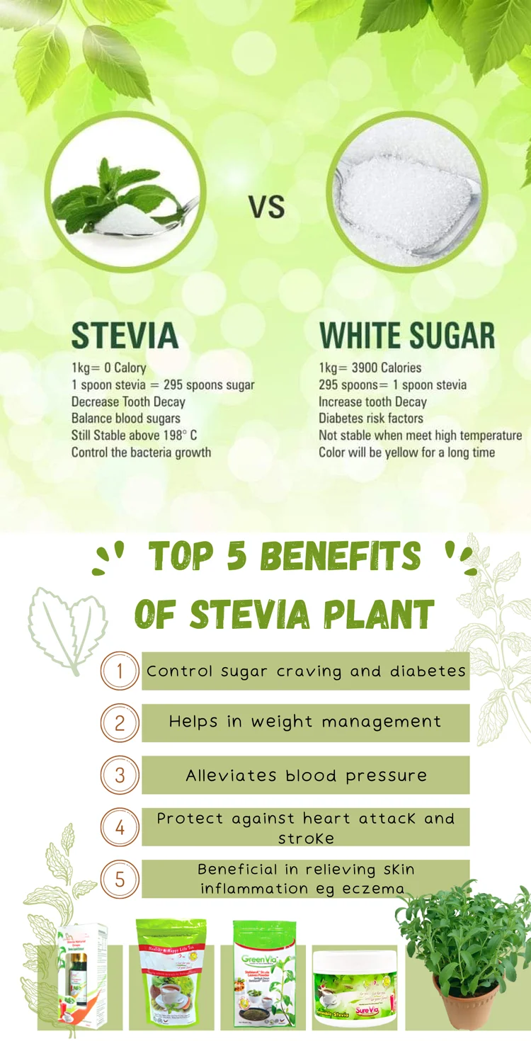 Organic Pure Dried Stevia Leaves Extract 95 97 98 99 Stevia Powder
