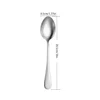 Silver Dinner Spoon