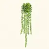 Pianta grimpante succulenta verde con vaso